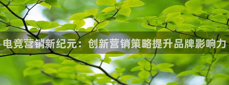 火狐电竞官方网站